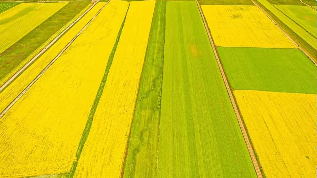 f95f9eede669d83156c9d19b0b440e4.jpg